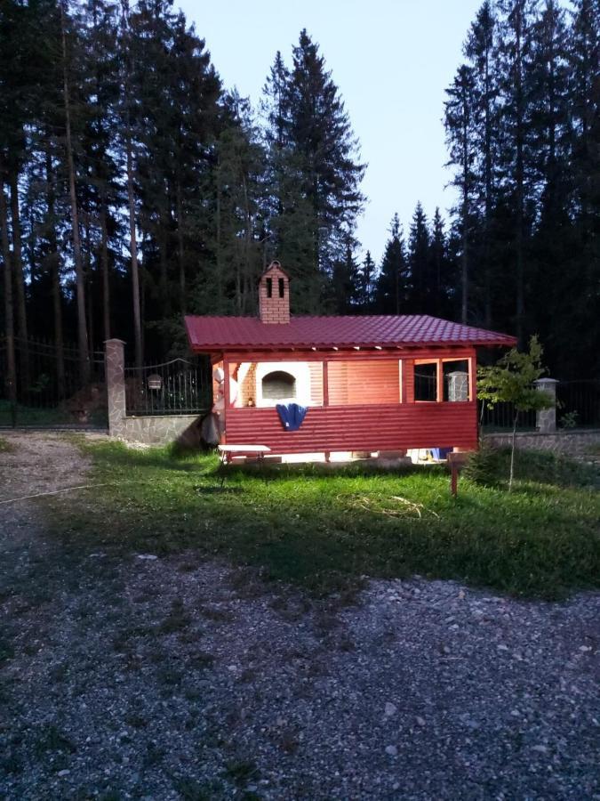 Casa De Vacanta ปาราอู เรเช ภายนอก รูปภาพ