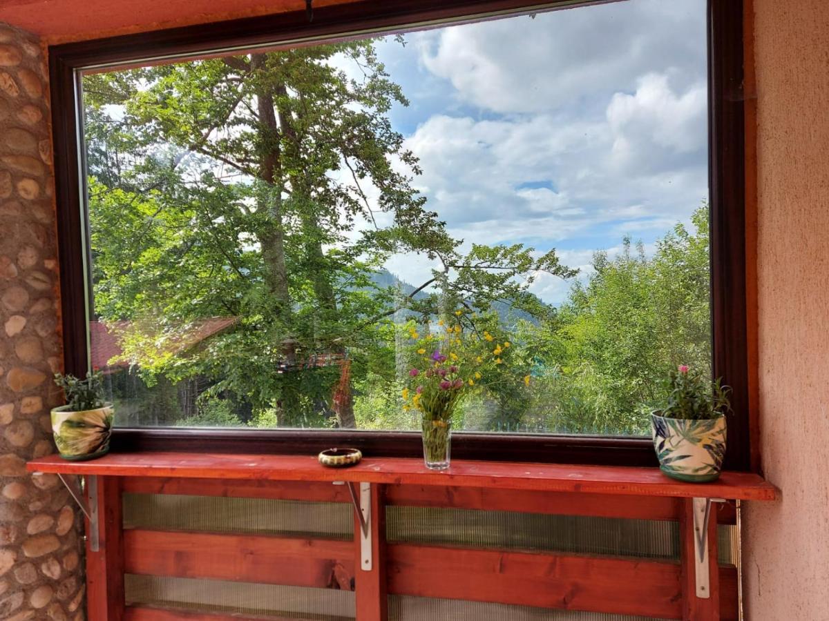 Casa De Vacanta ปาราอู เรเช ภายนอก รูปภาพ