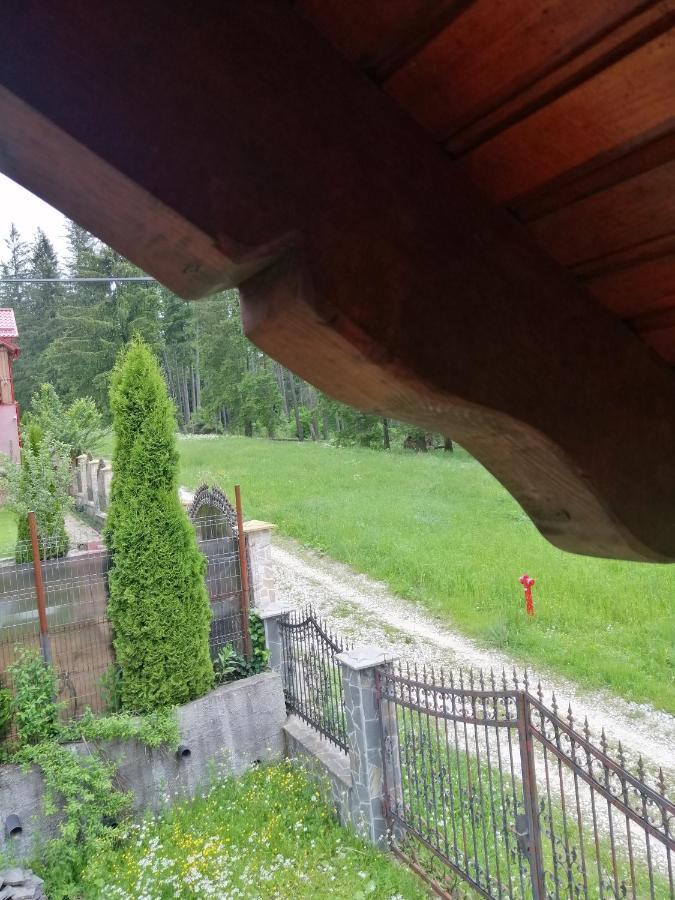 Casa De Vacanta ปาราอู เรเช ภายนอก รูปภาพ