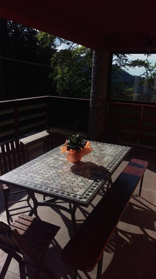 Casa De Vacanta ปาราอู เรเช ภายนอก รูปภาพ